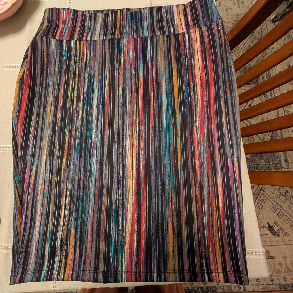 Multicolor Striped Women's Skirt